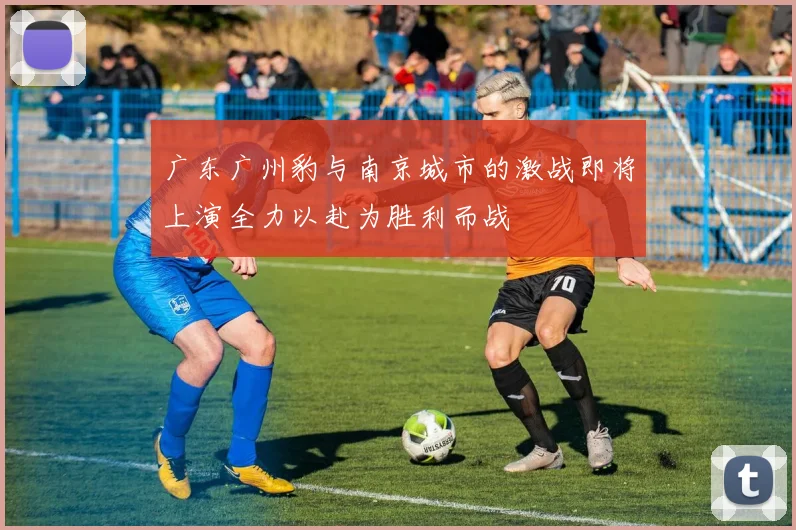广东广州豹与南京城市的激战即将上演全力以赴为胜利而战