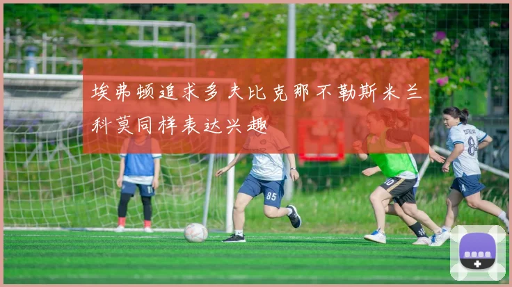 埃弗顿追求多夫比克那不勒斯米兰科莫同样表达兴趣