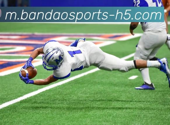 半岛体育平台生态图