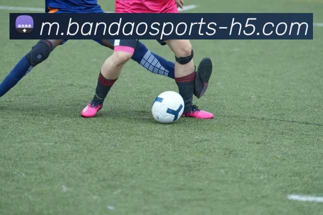 半岛体育APP 封面图